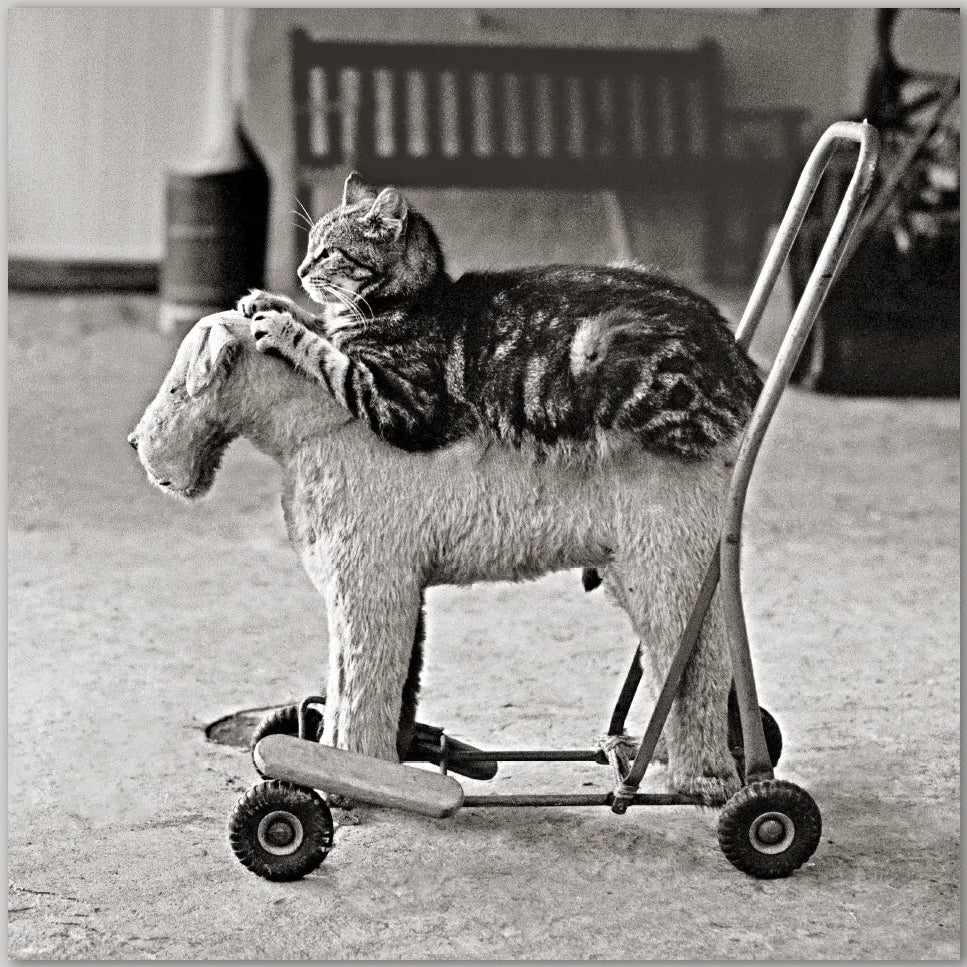 Greetings Card - Best Friends