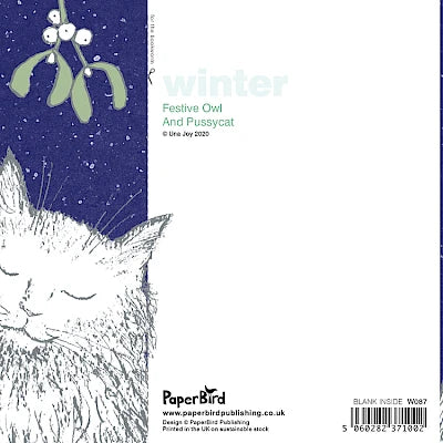 Greetings Card - Festive Owl and Pussycat