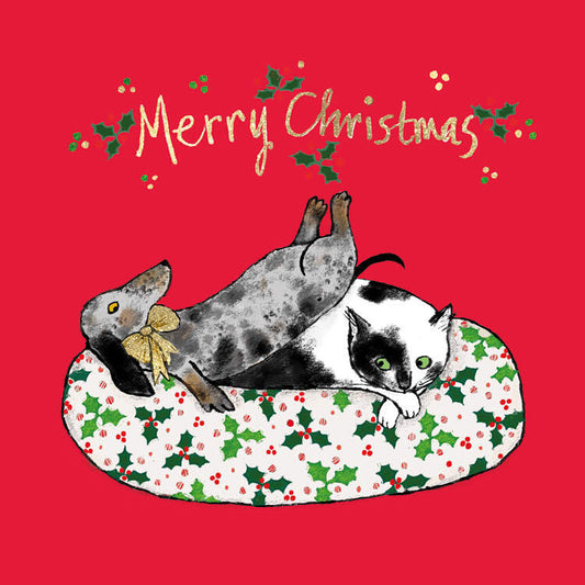 Pack of 6 Greetings Card - The Shared Gift