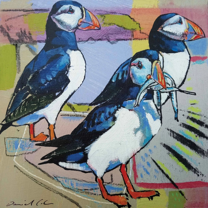 Greetings Card - Puffins