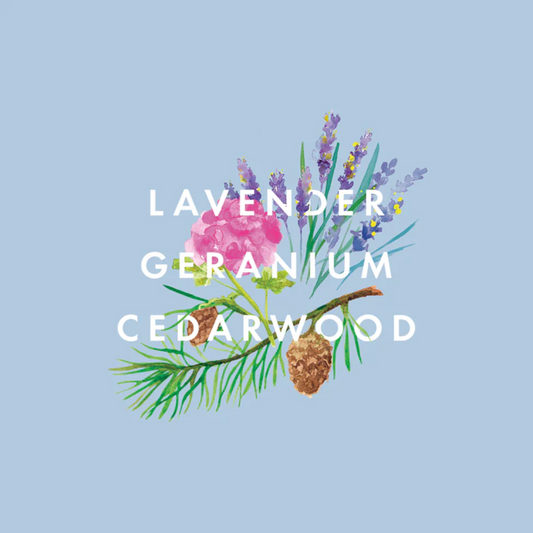 Travel Cocooning Shower Cream - Real Luxury