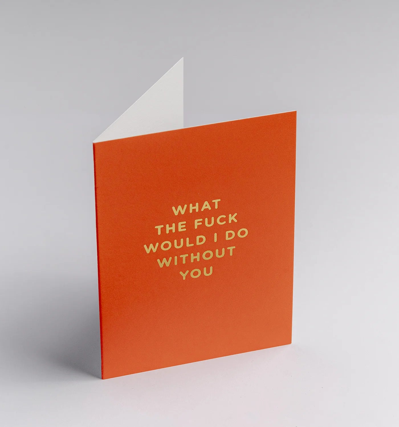 Lagom Mini Card - What the F*** Would I Do Without You