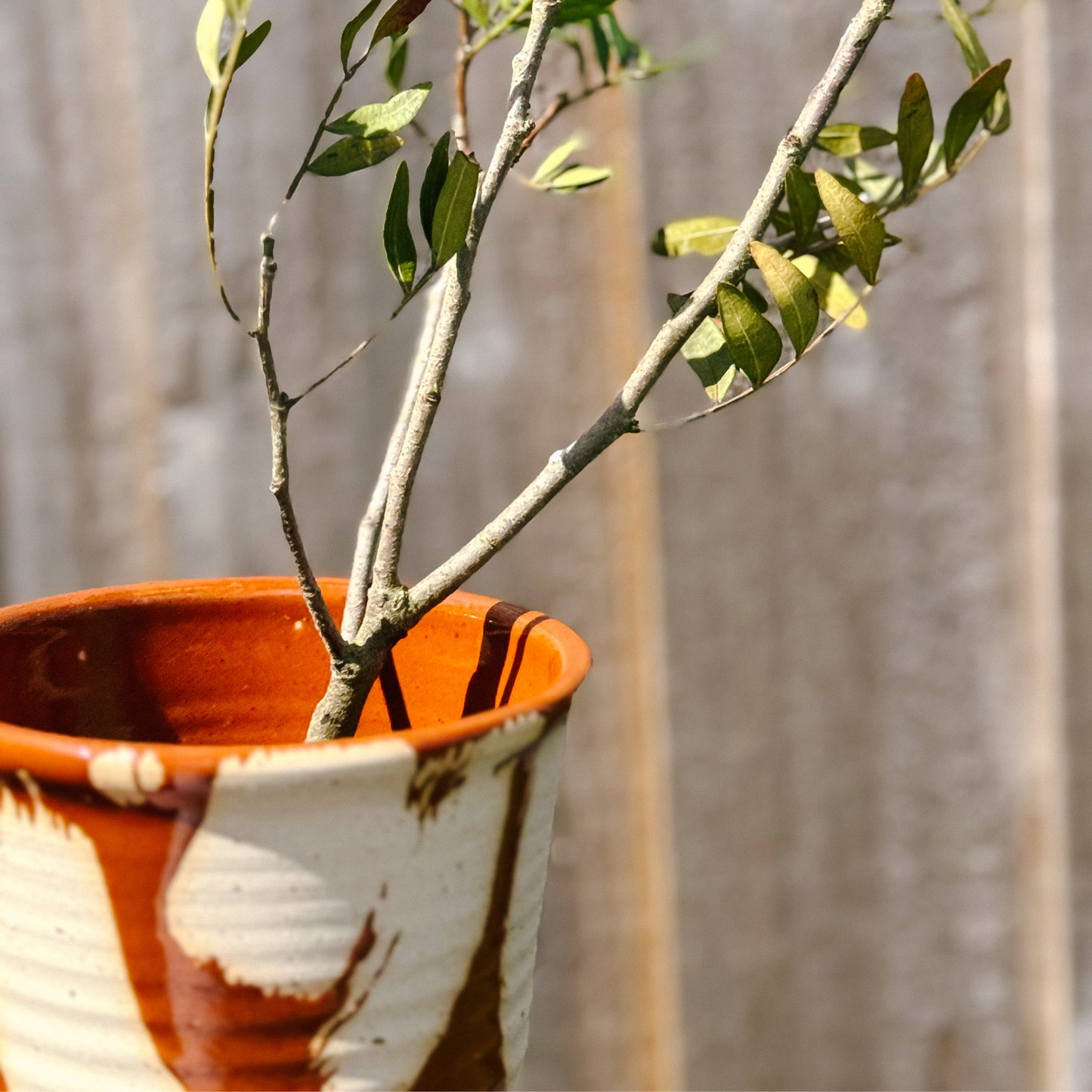 Brushstroke Ceramic Pot - Brown