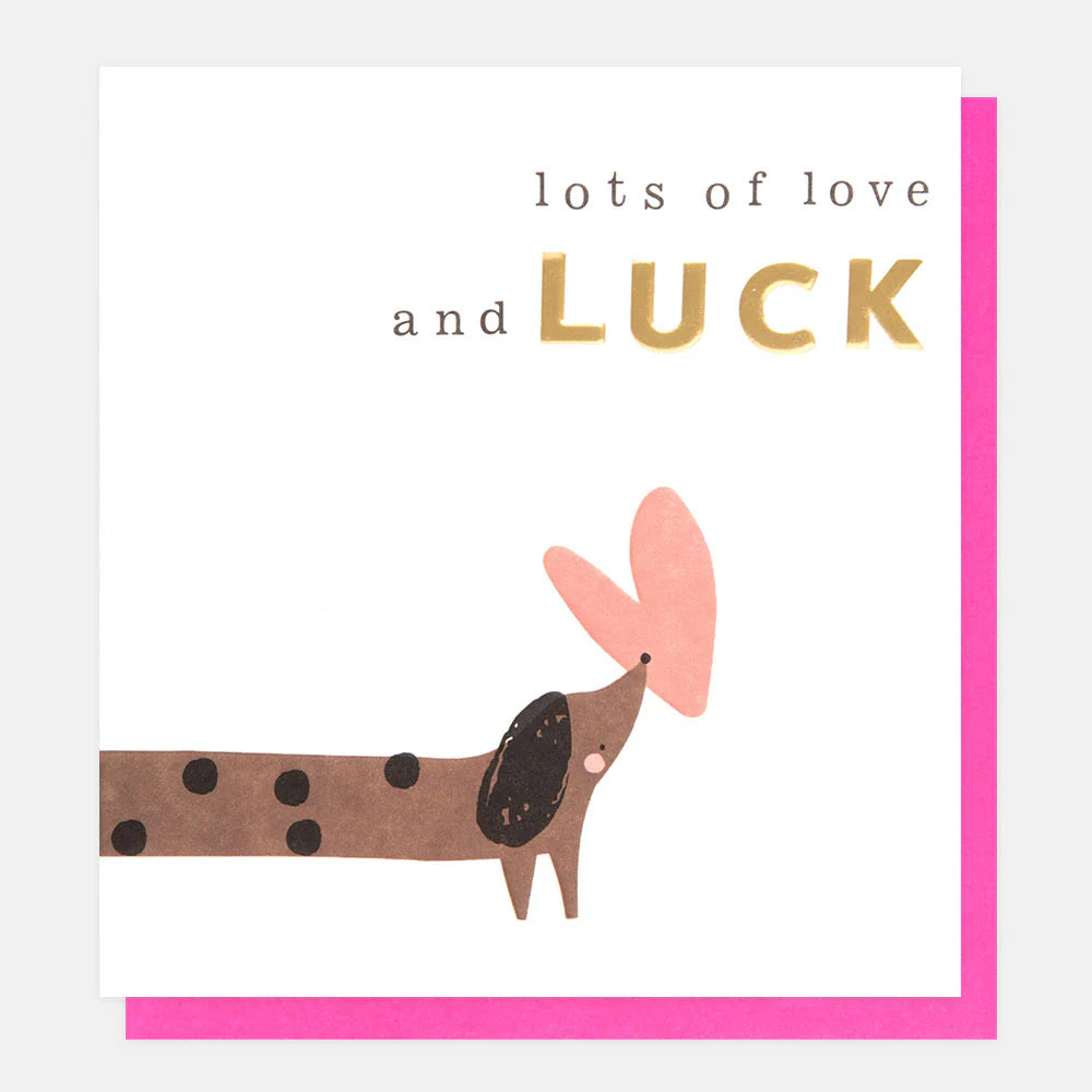 Greetings Card - Lots of Love & Luck
