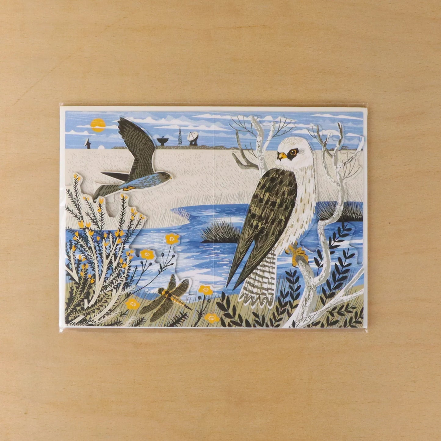 Greetings Card - Goonhilly Red-Footed Falcons