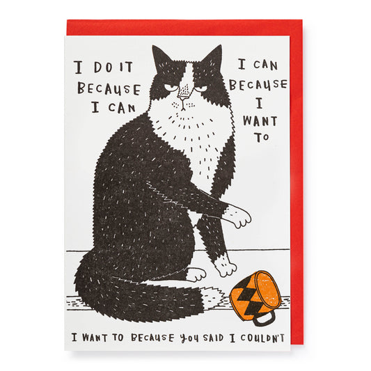 Greetings Card - I Do It Because I Can