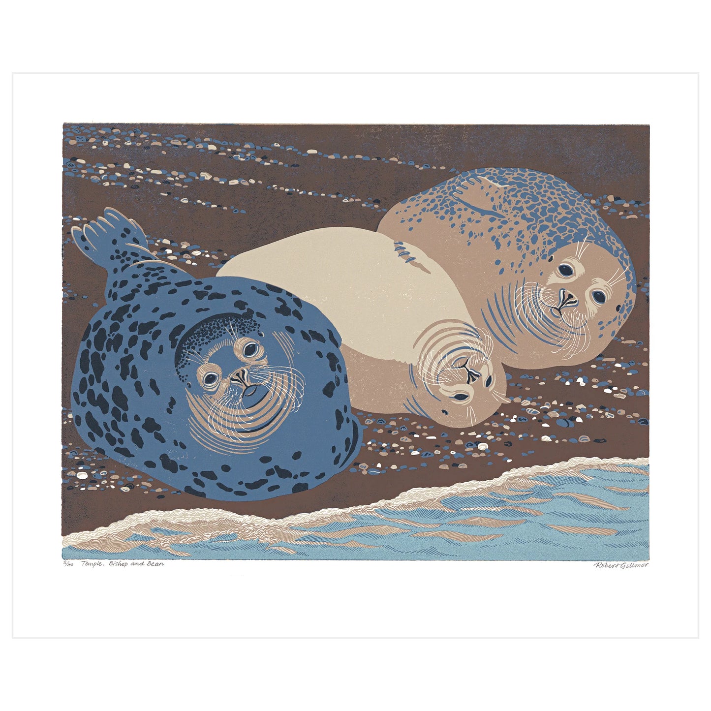 Greetings Card - Grey Seals