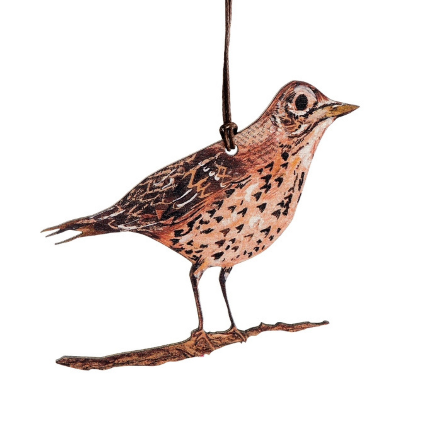 Clare O’Neill Artwork Birch Hanging Decoration - Song Thrush