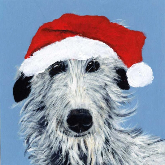 Pack of 5 Christmas Cards - Festive Stan