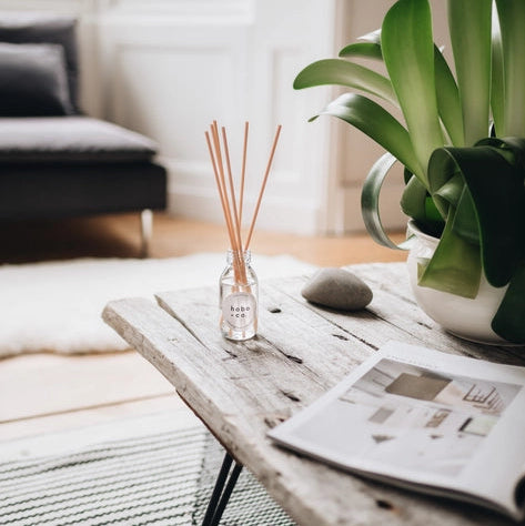 Reed Diffuser - Lemongrass and Coconut