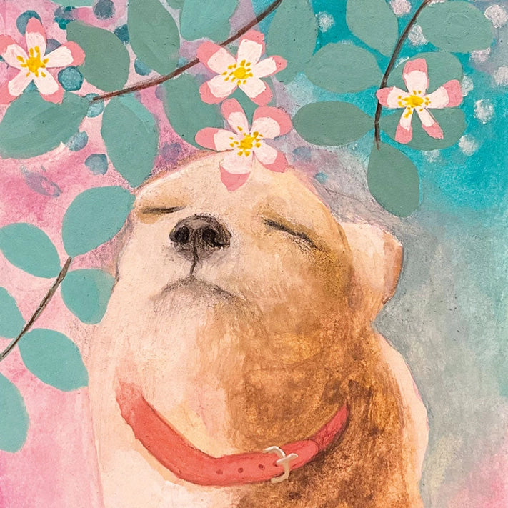 Greetings Card - Dog Rose