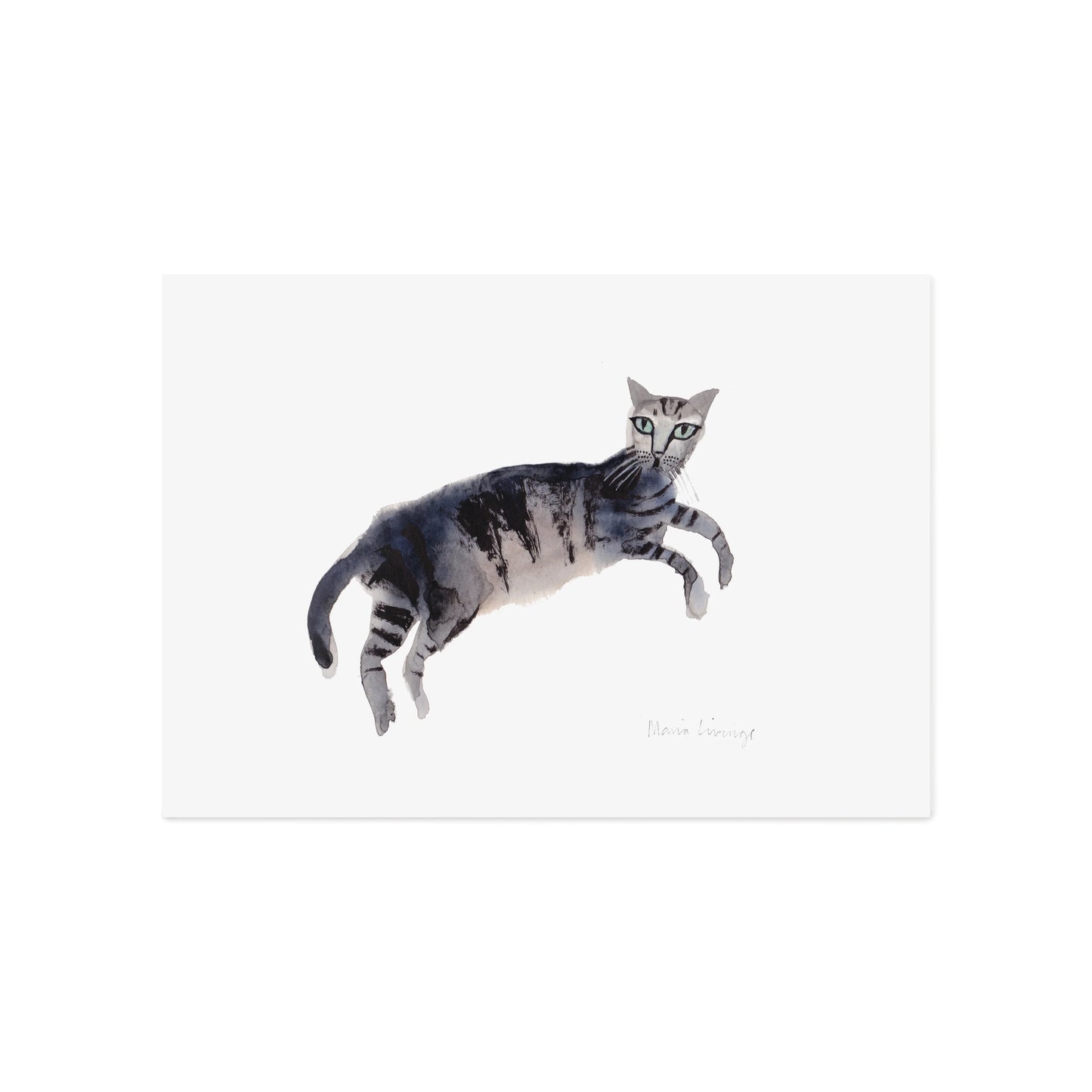 A4 Print - Striped Cat