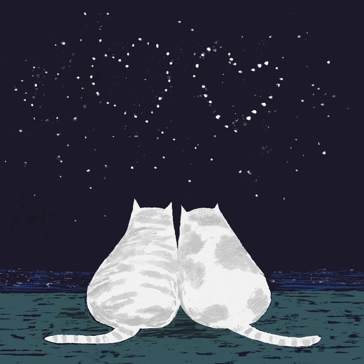 Greetings Card - Cats Stargazing