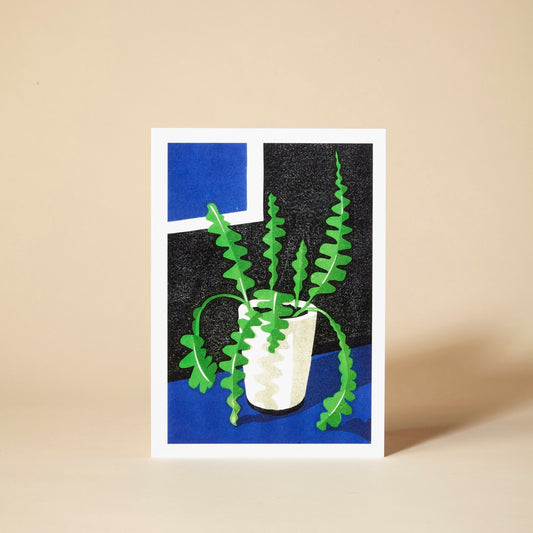 Pressed and Folded Greetings Card - Fishbone Cactus Plant