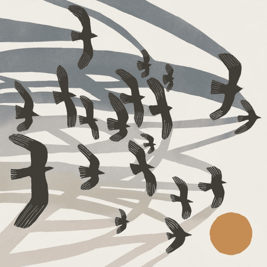 Greetings Card - Flights