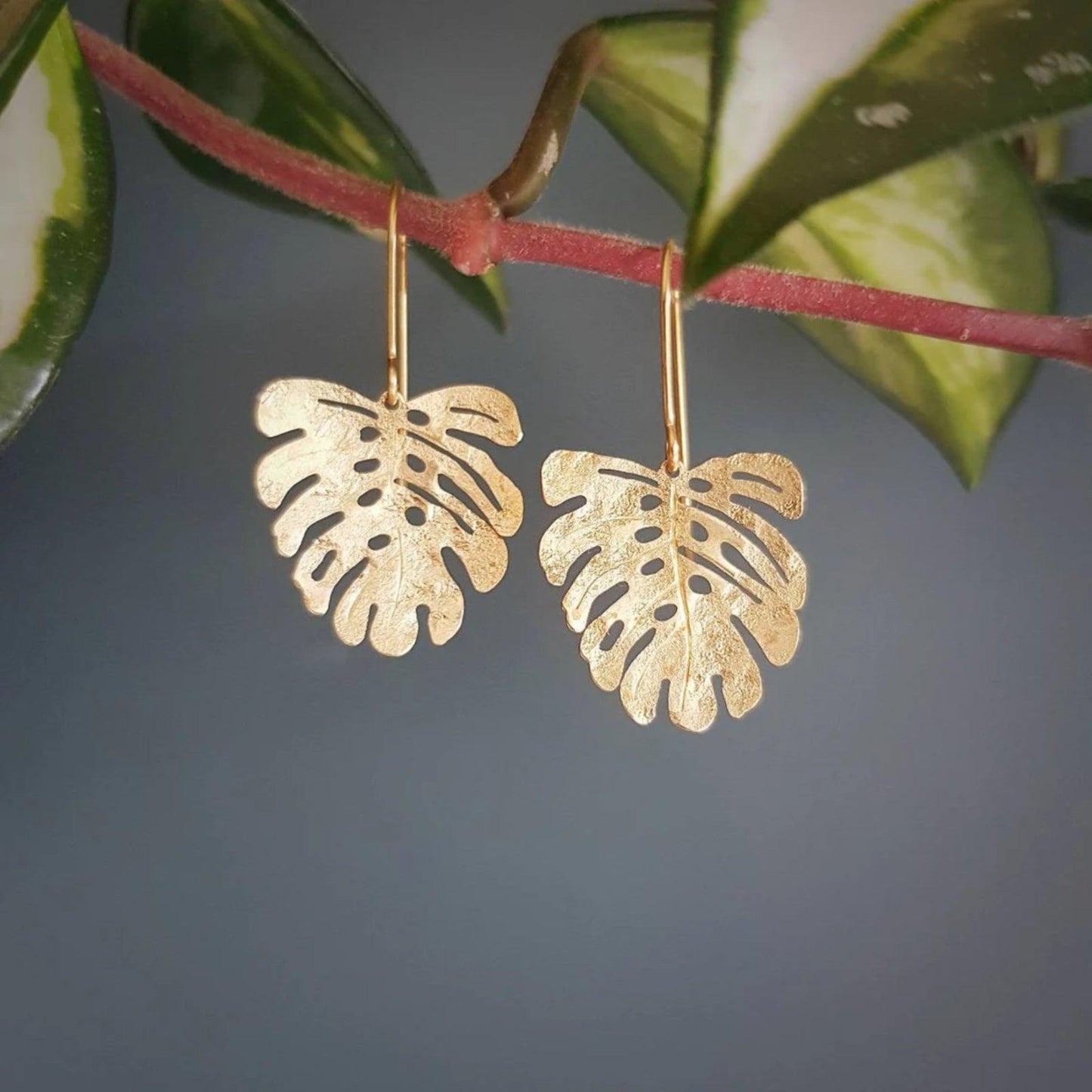 Nic Danning Brass Earrings - Tropic Mini