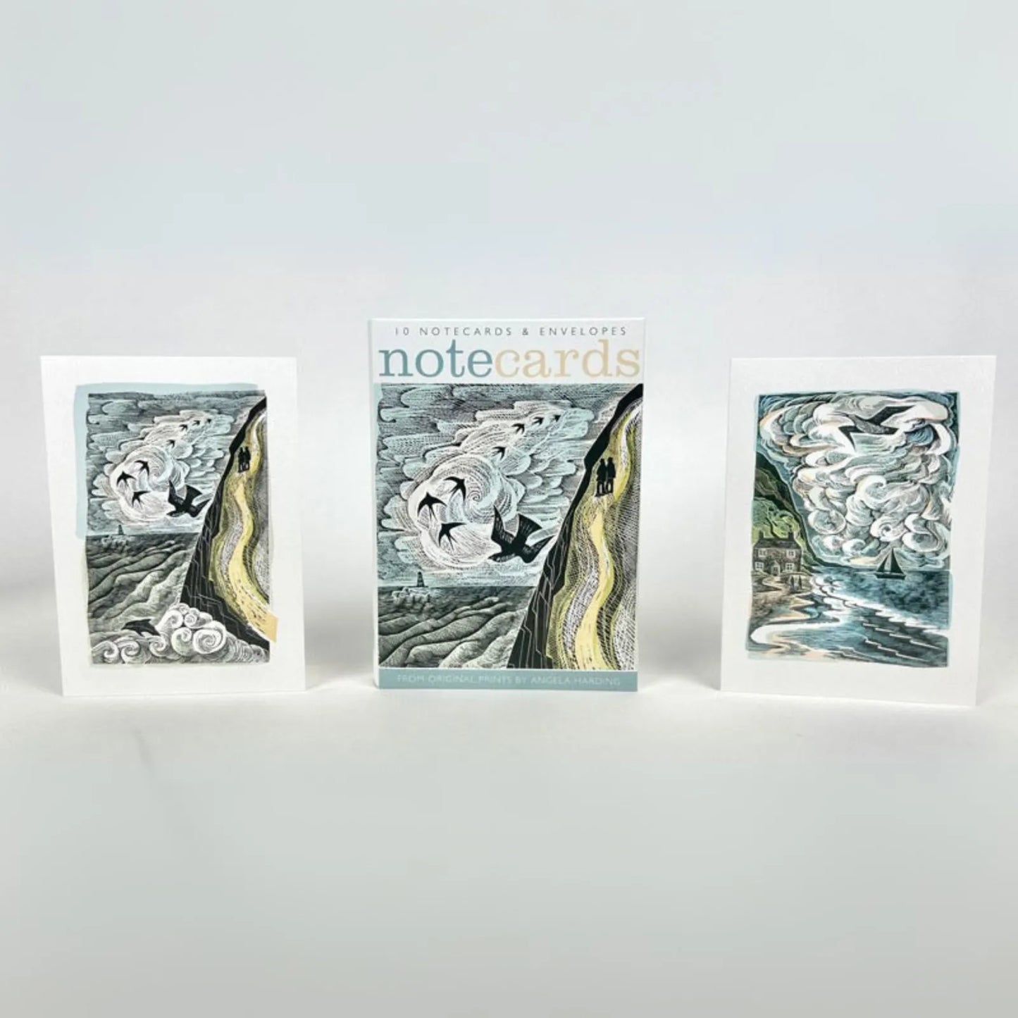 Set of 10 Notecards & Envelopes - Cornish Path/The Wild Silence