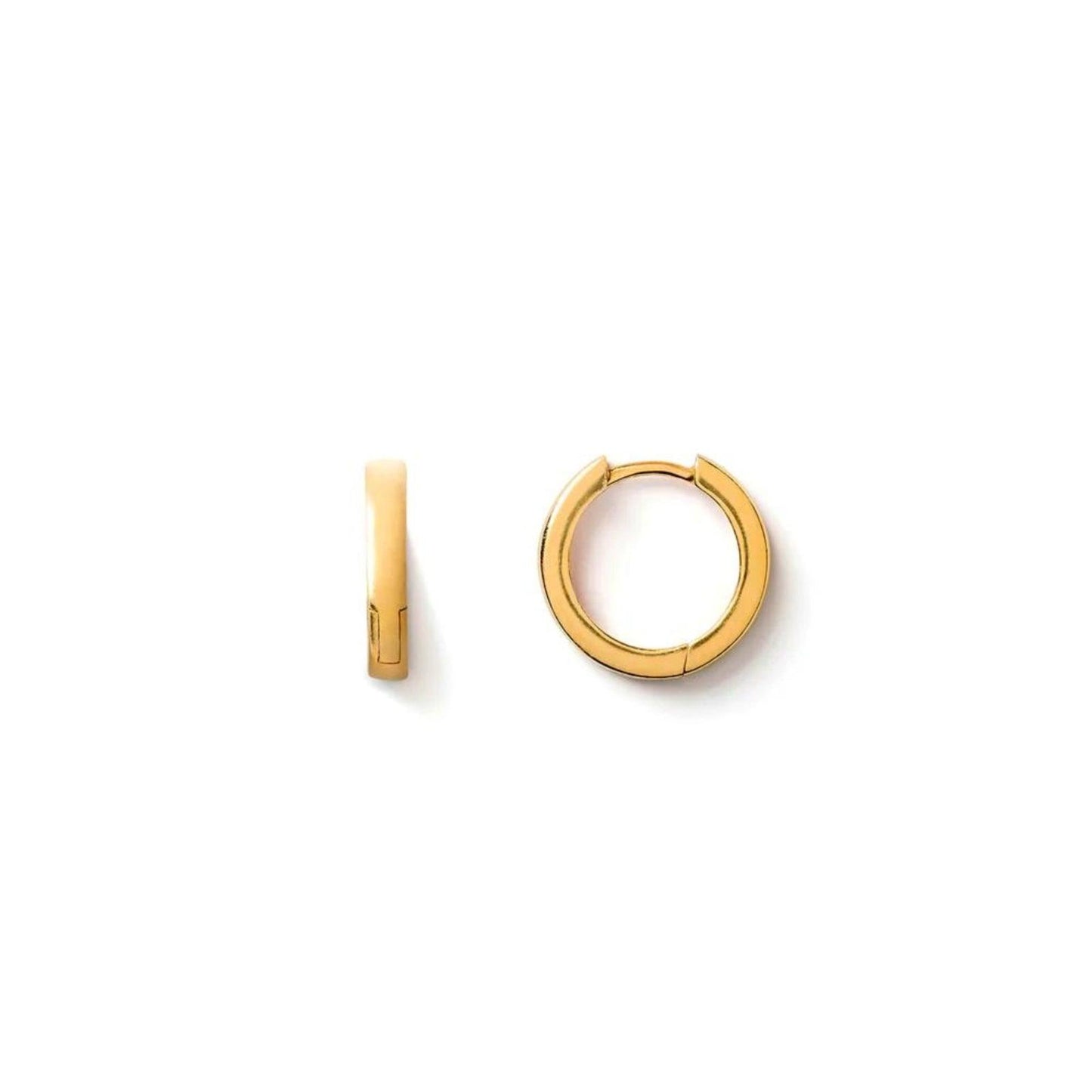 Gold Hoop Earrings - Zanya