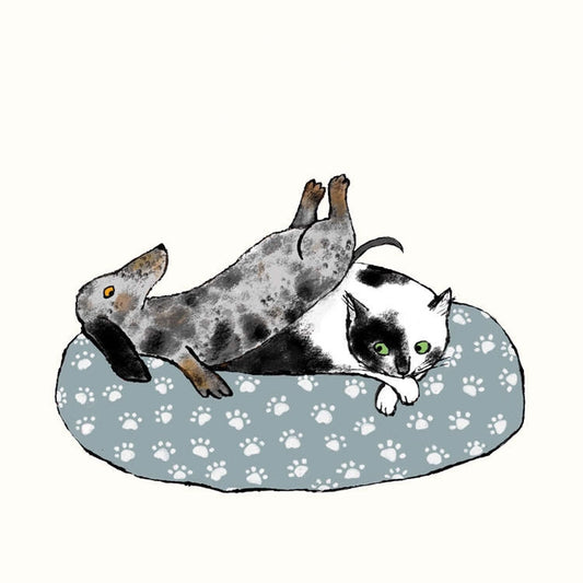 Greetings Card - Suitable for Cats and Small Dogs