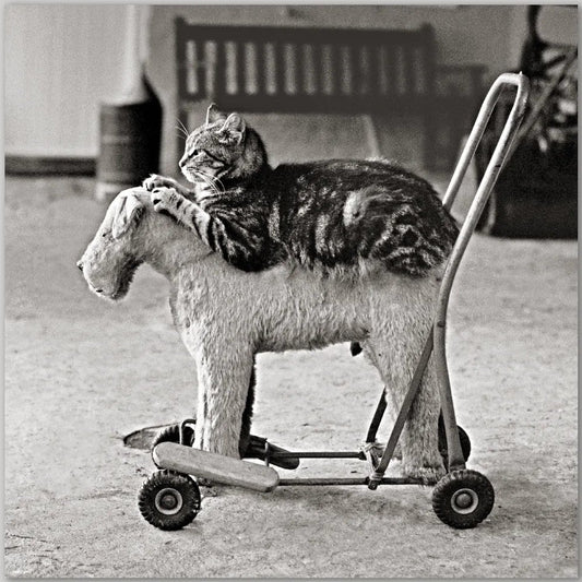 Greetings Card - Best Friends