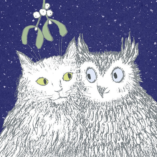 Paper Bird Greetings Card - Festive Owl and Pussycat