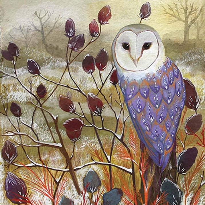 Pack of 5 Christmas Cards - Barn Owl