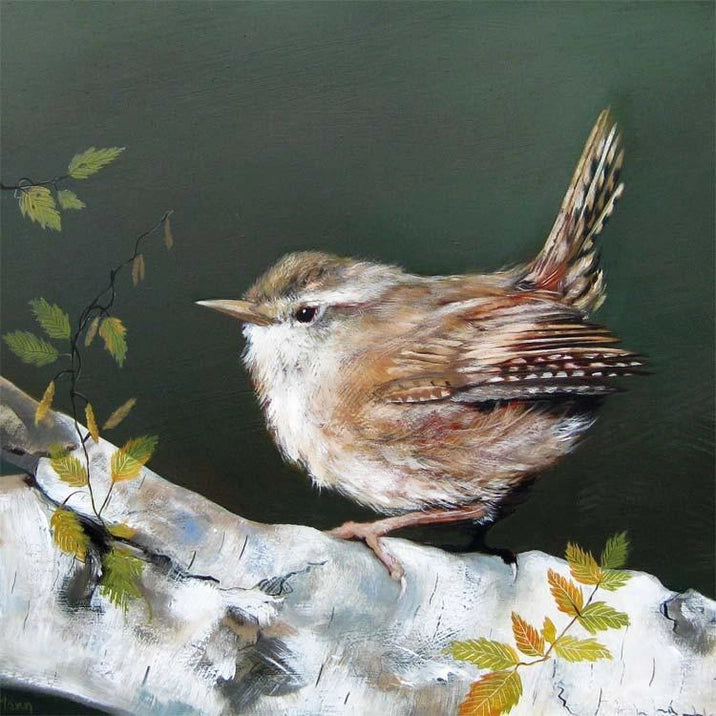 Greetings Card - Ruffled Wren