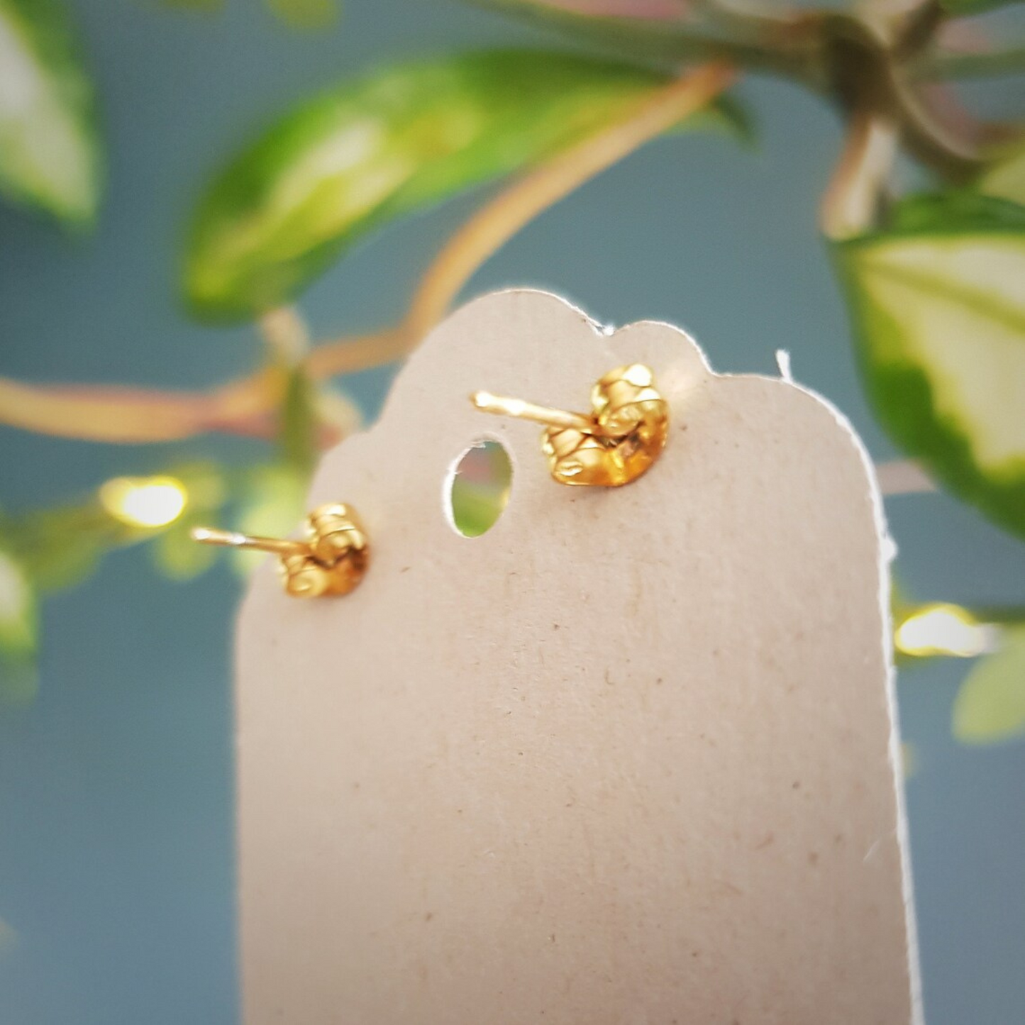 Nic Danning Brass Stud Earrings - Dulse