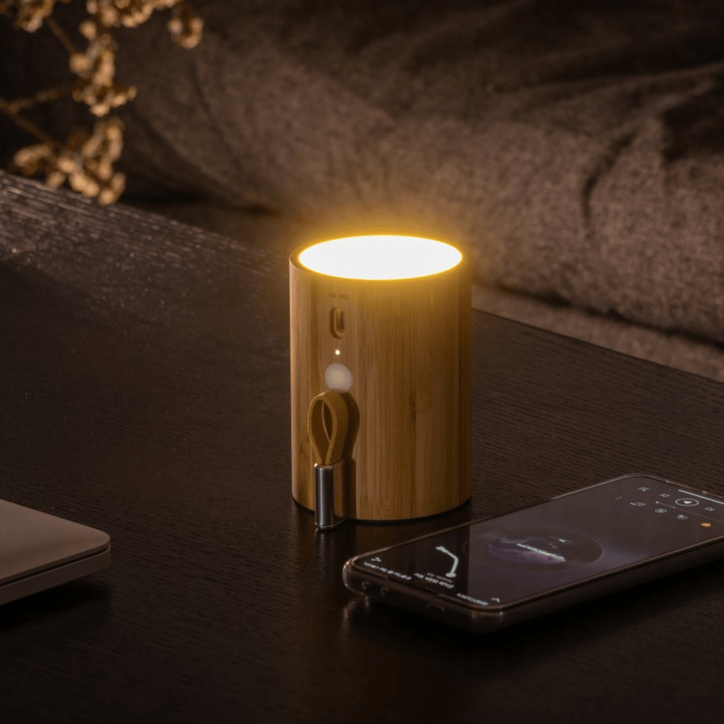 Gingko Electronics Drum Light Bluetooth Speaker - Bamboo