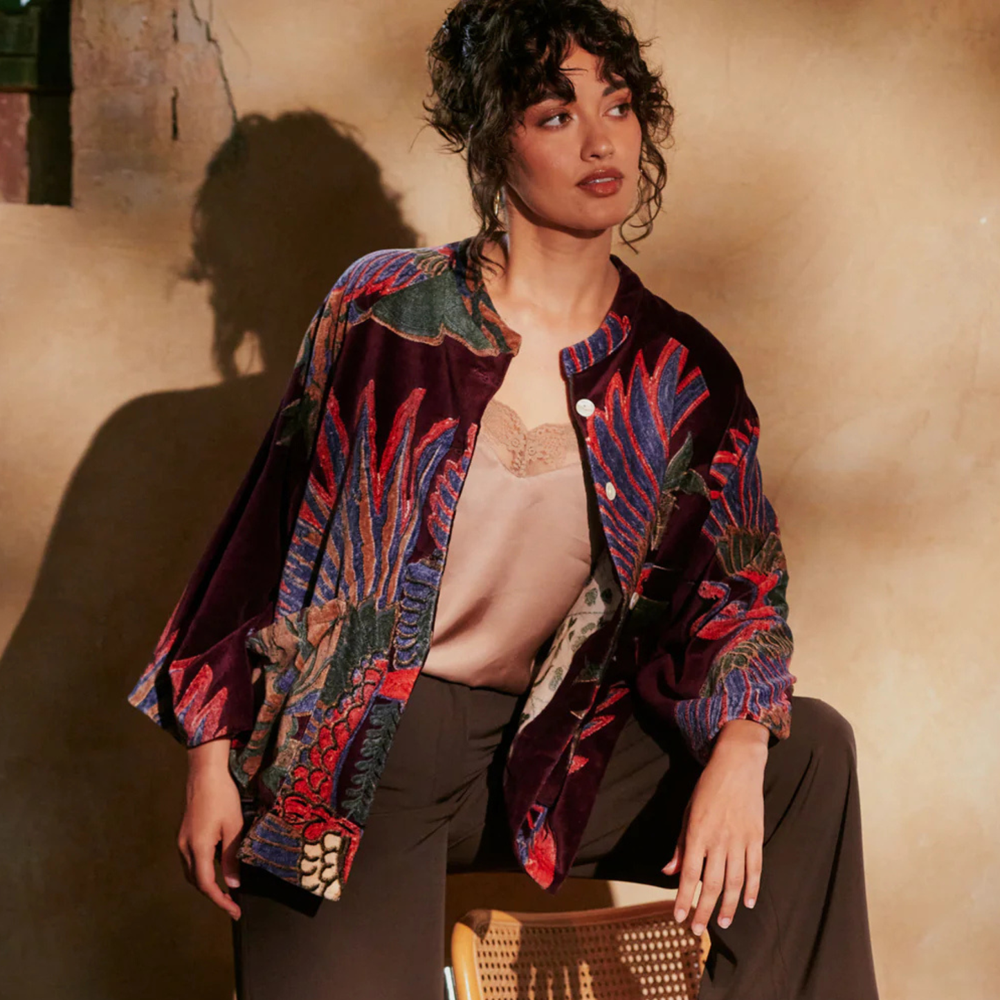 Velvet Jacket - Crane Plum