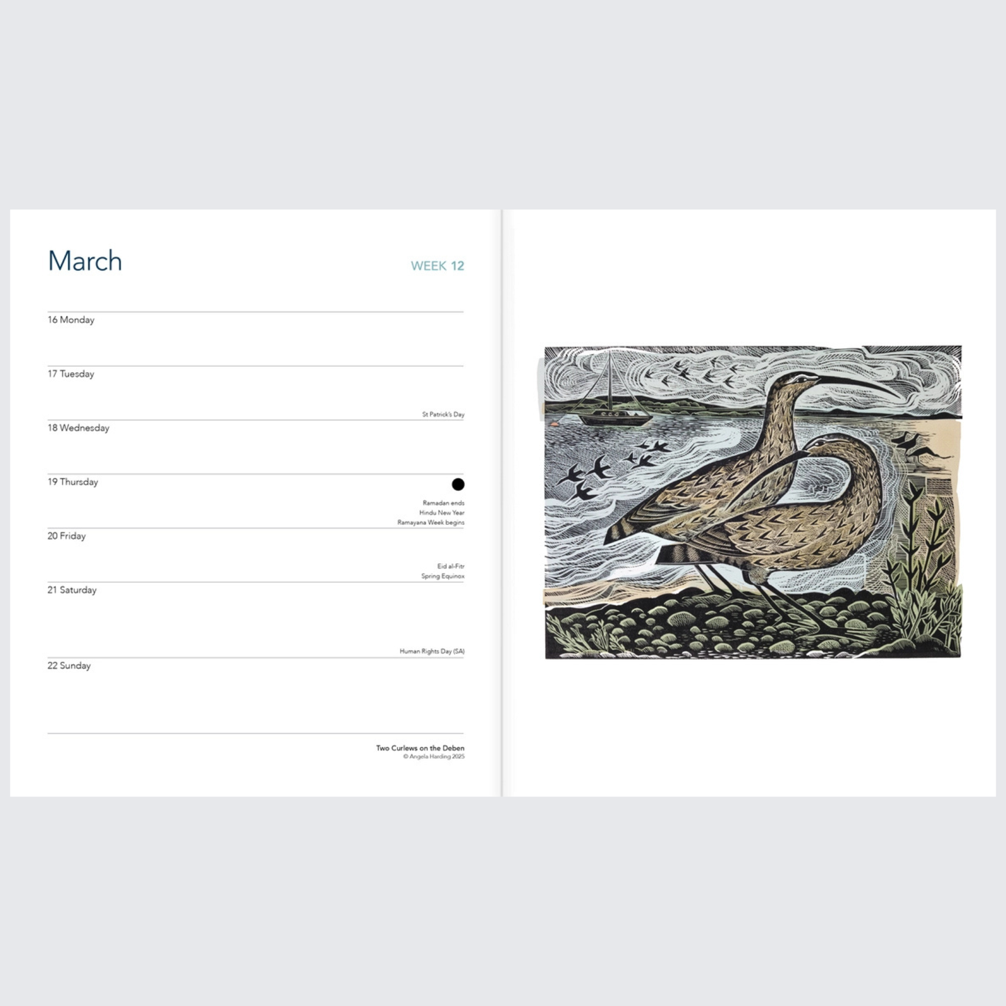 Angela Harding 2026 Desk Diary Planner