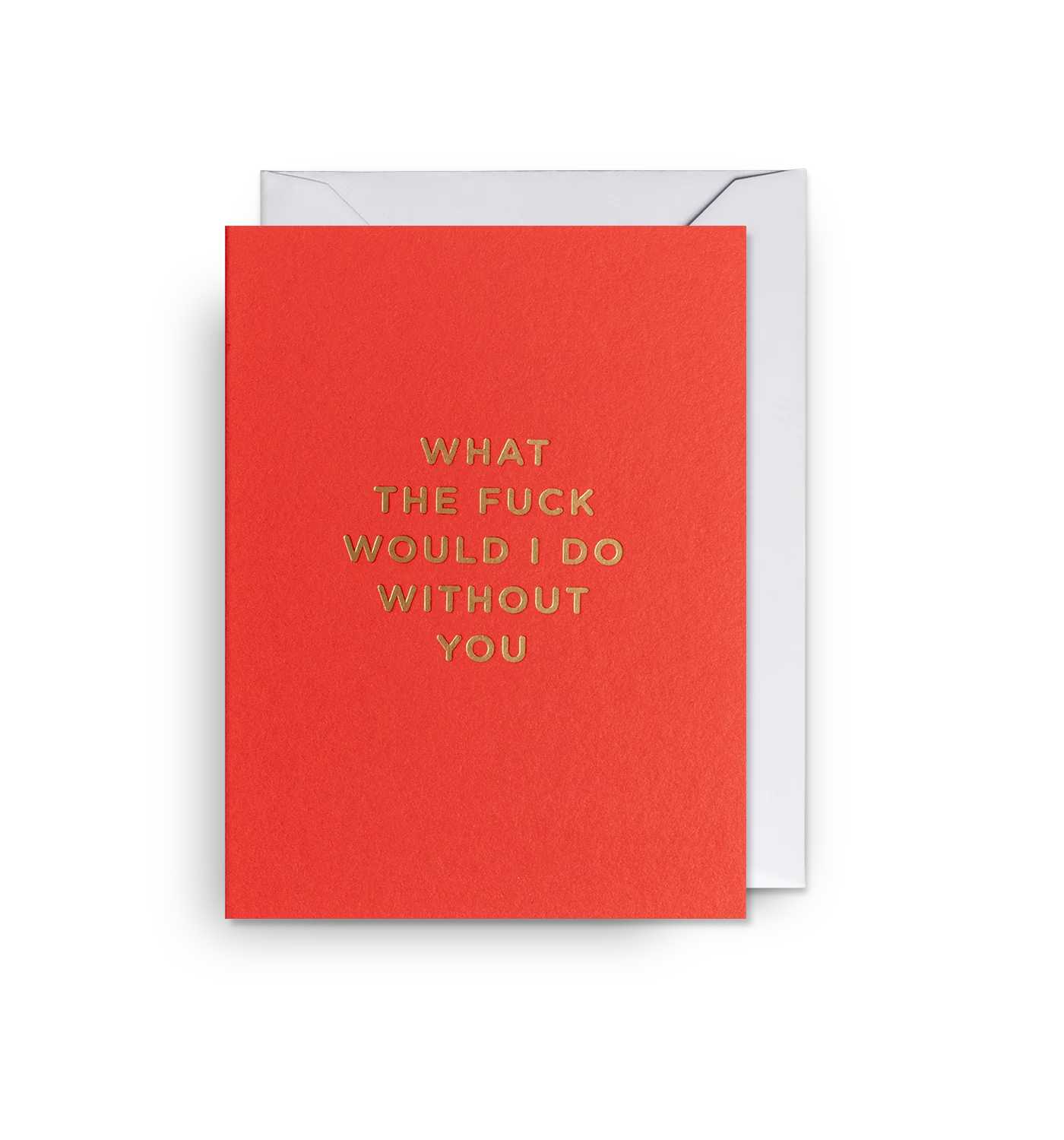 Lagom Mini Card - What the F*** Would I Do Without You