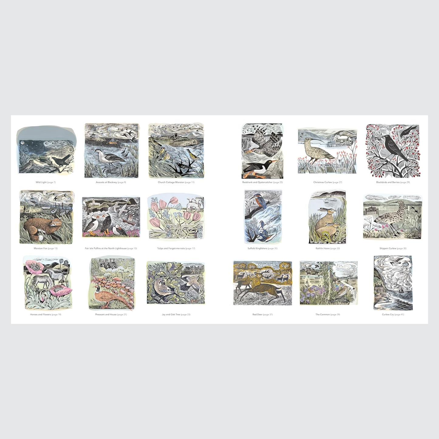 Angela Harding Colouring Book