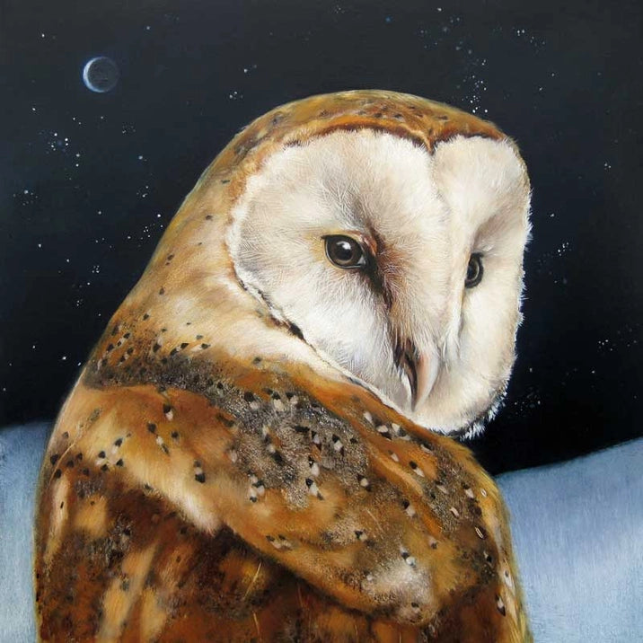 Greetings Card - Barn Owl in December Snow
