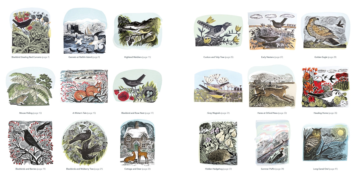 Angela Harding Colouring Book - Wildlife