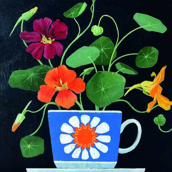 Greetings Card - Orange Nasturtium
