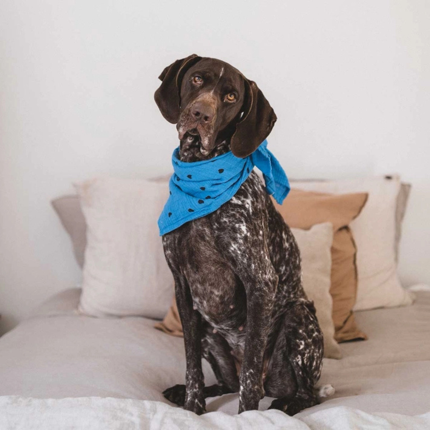 Square Scarf - Blue Hearts