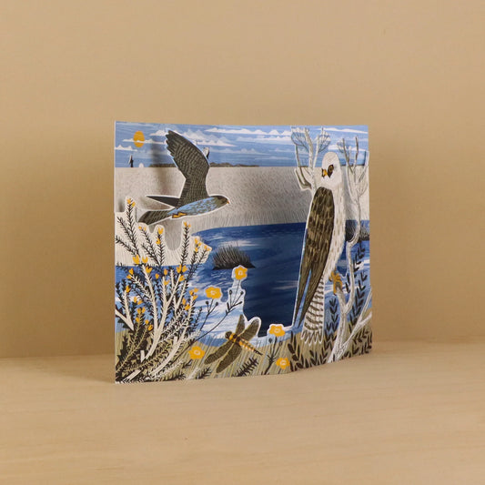 Greetings Card - Goonhilly Red-Footed Falcons