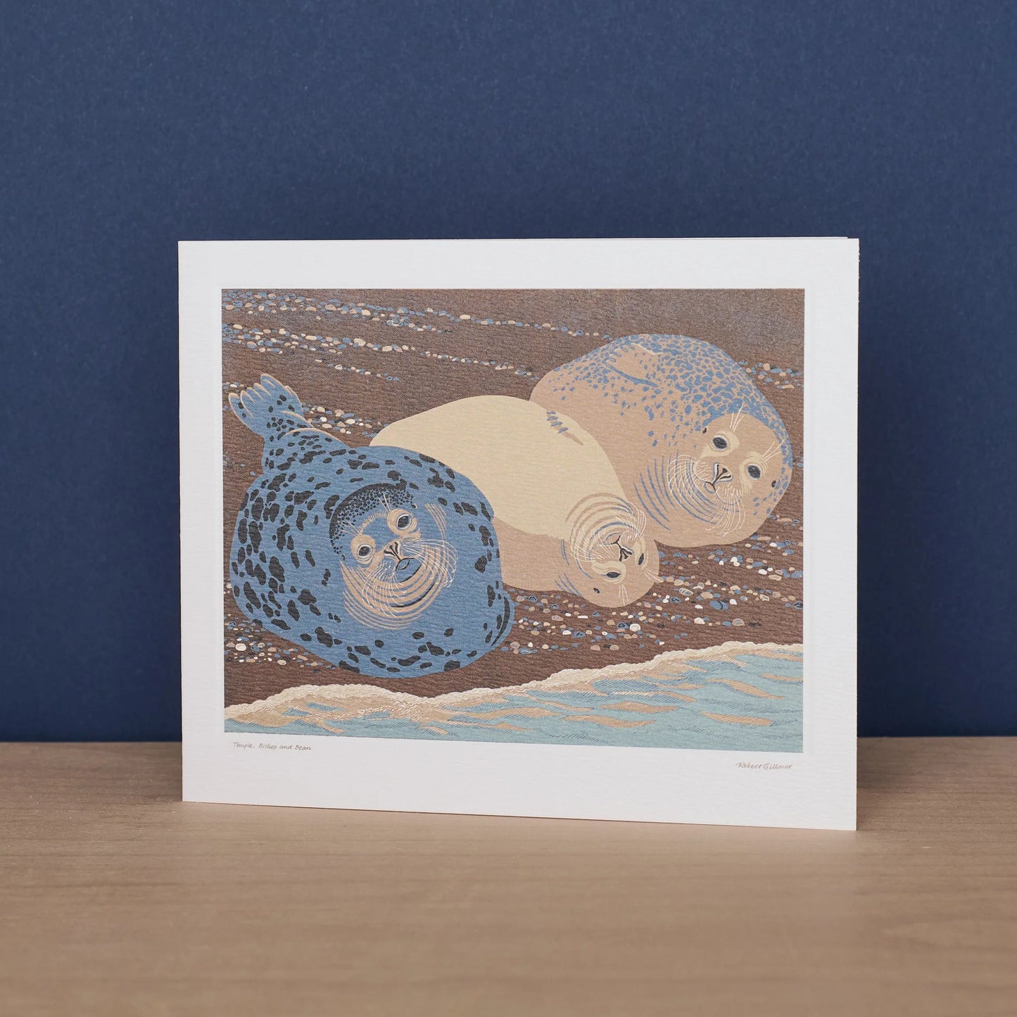 Greetings Card - Grey Seals