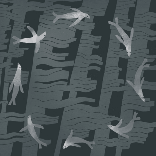 Greetings Card - Seals In A Kelp Forest