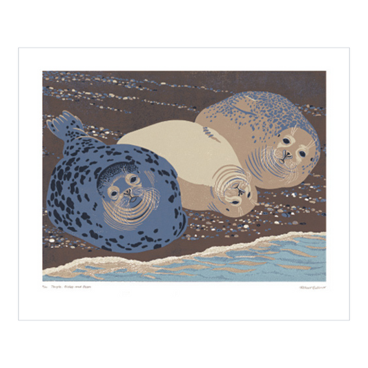 Art Angels Greetings Card - Common Grey Seals