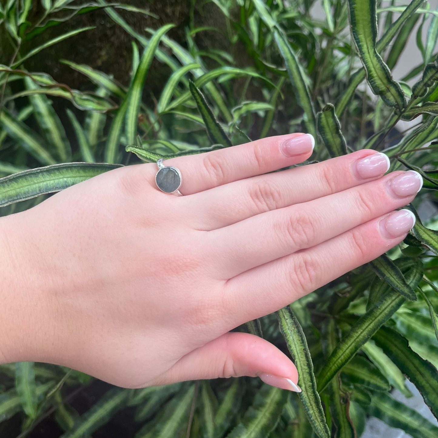 Eco Silver Ring - Light Labradorite