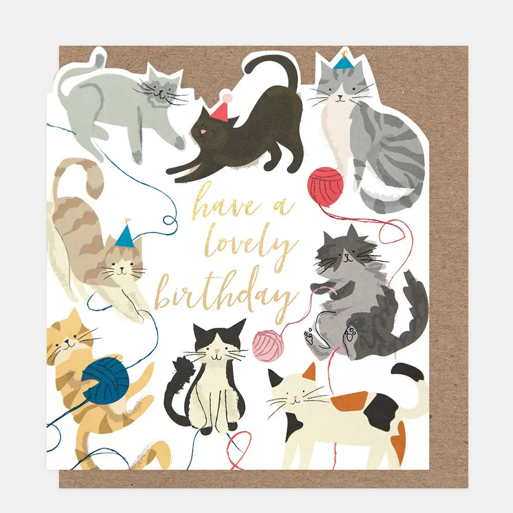 Greetings Card - Birthday Cats