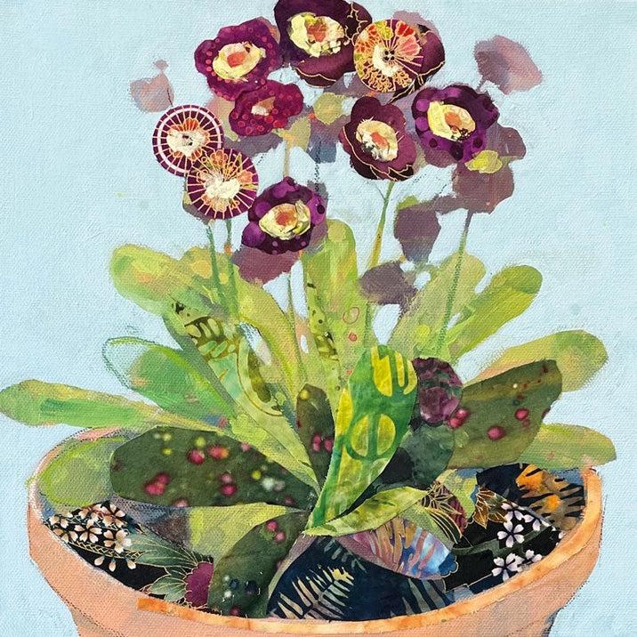 Greetings Card - Primula