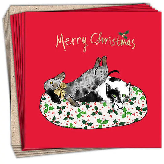Pack of 6 Greetings Card - The Shared Gift