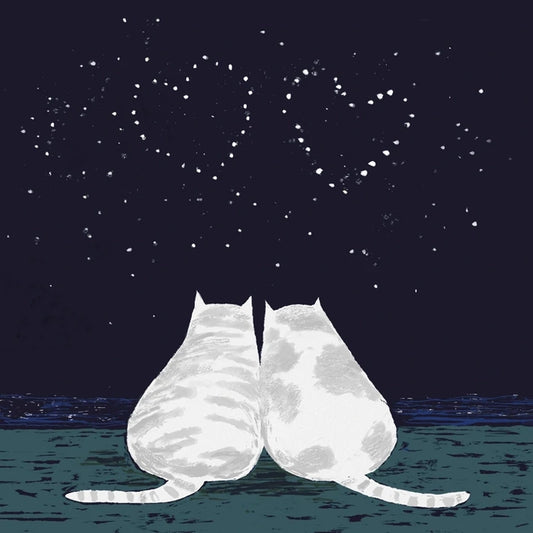 Greetings Card - Cats Stargazing