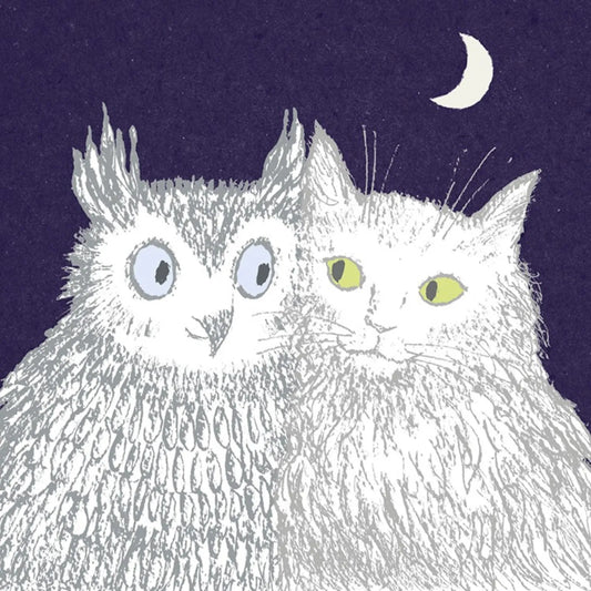 Greetings Card - Owl and Pussycat