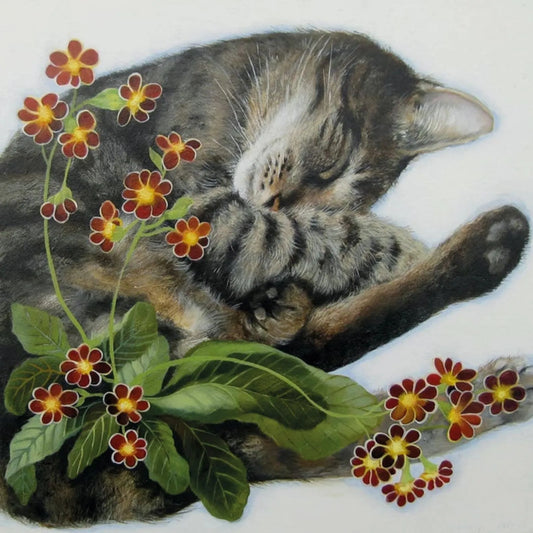 Greetings Card - Sleeping Amongst the Polyanthus